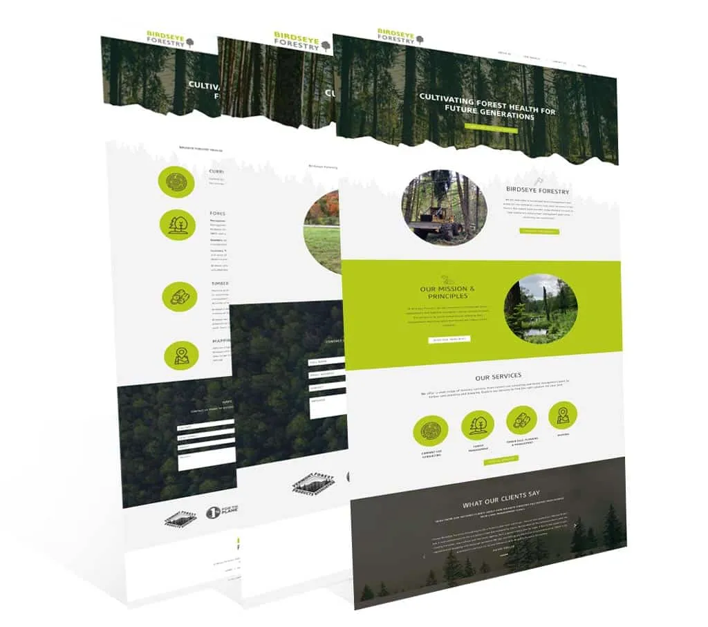 Birdseye Forestry — website preview
