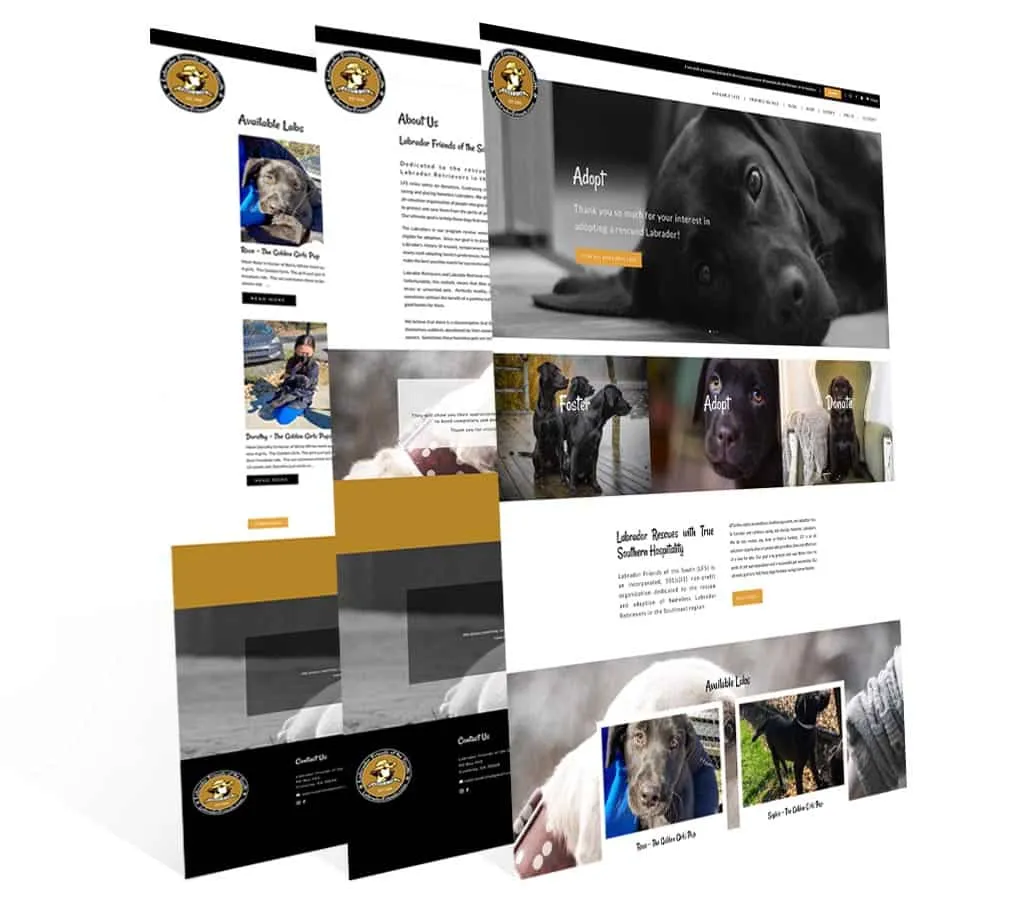 Labrador Friends of the South — vista del sitio web