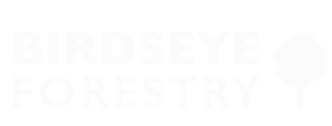 Birdseye Forestry Logo